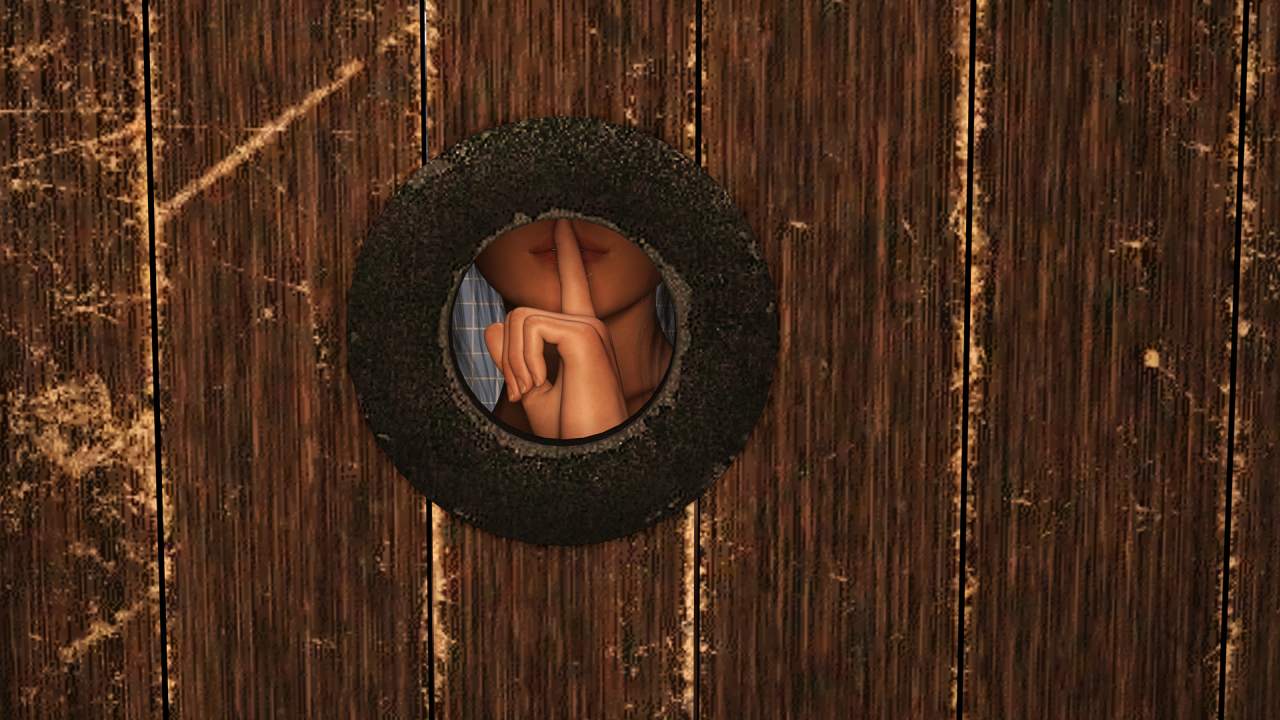 Sexy girl spying Culture Shock