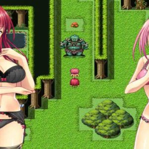 Bimirror World Mirage