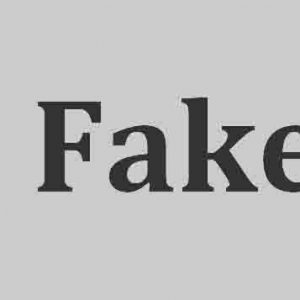 Fake AI