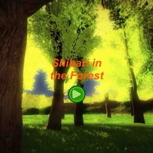 Shibari in the Forest