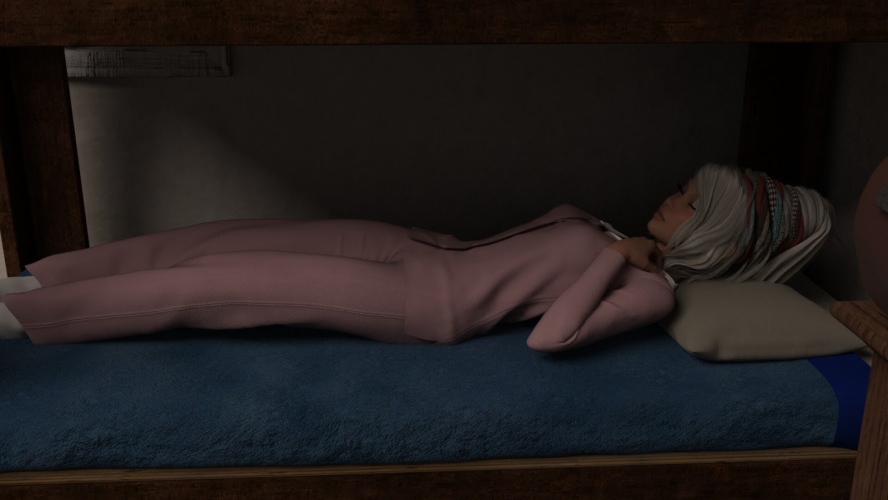 Harem Camp - 3D Adult Games