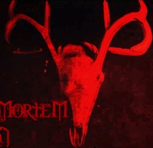 Love MorteM ReborN