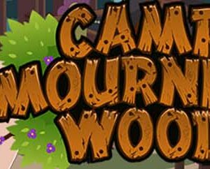 Camp Mourning Wood