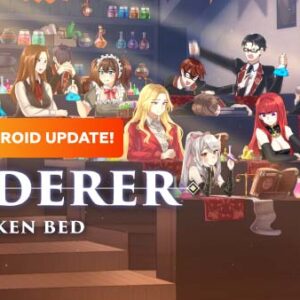 WANDERER Broken Bed