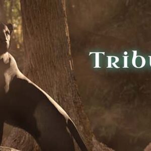 Tribulations of a Mage